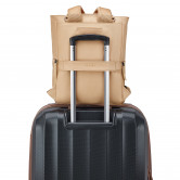 Сумка - рюкзак Delsey Victoire 2103600