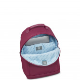 Рюкзак  Delsey Victoire 21036010