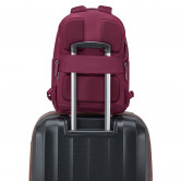 Рюкзак  Delsey Victoire 21036010