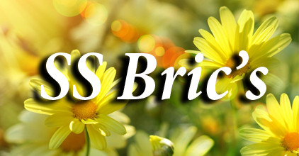 Весенне-летние новинки от BRIC'S